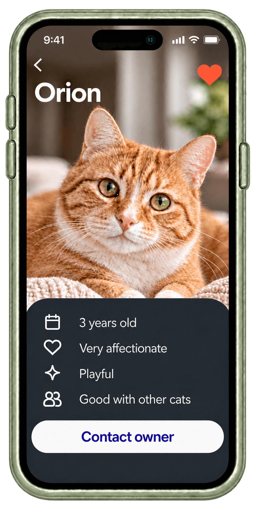 Miau : fiche du chat Orion et contact du propriétaire, cadre lime.
